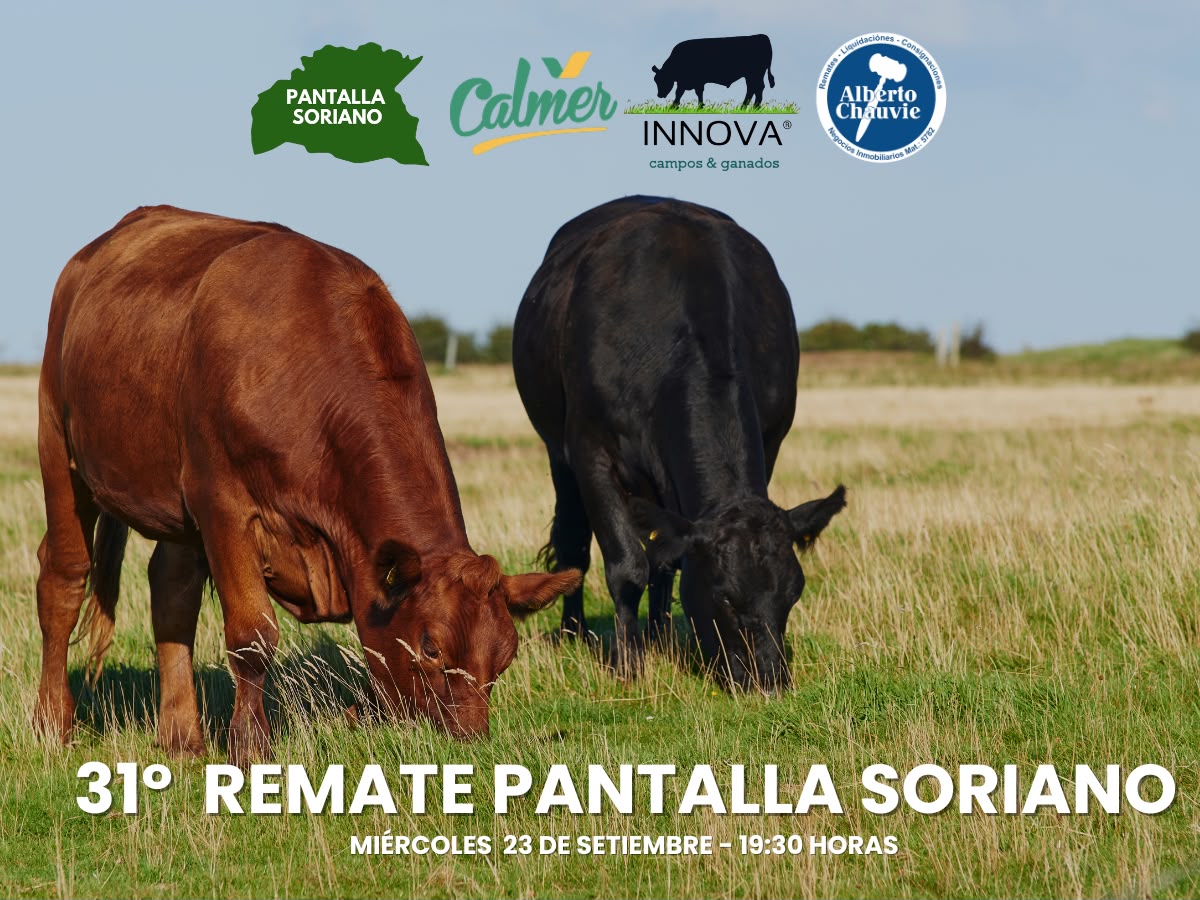 31° Remate - Pantalla Soriano